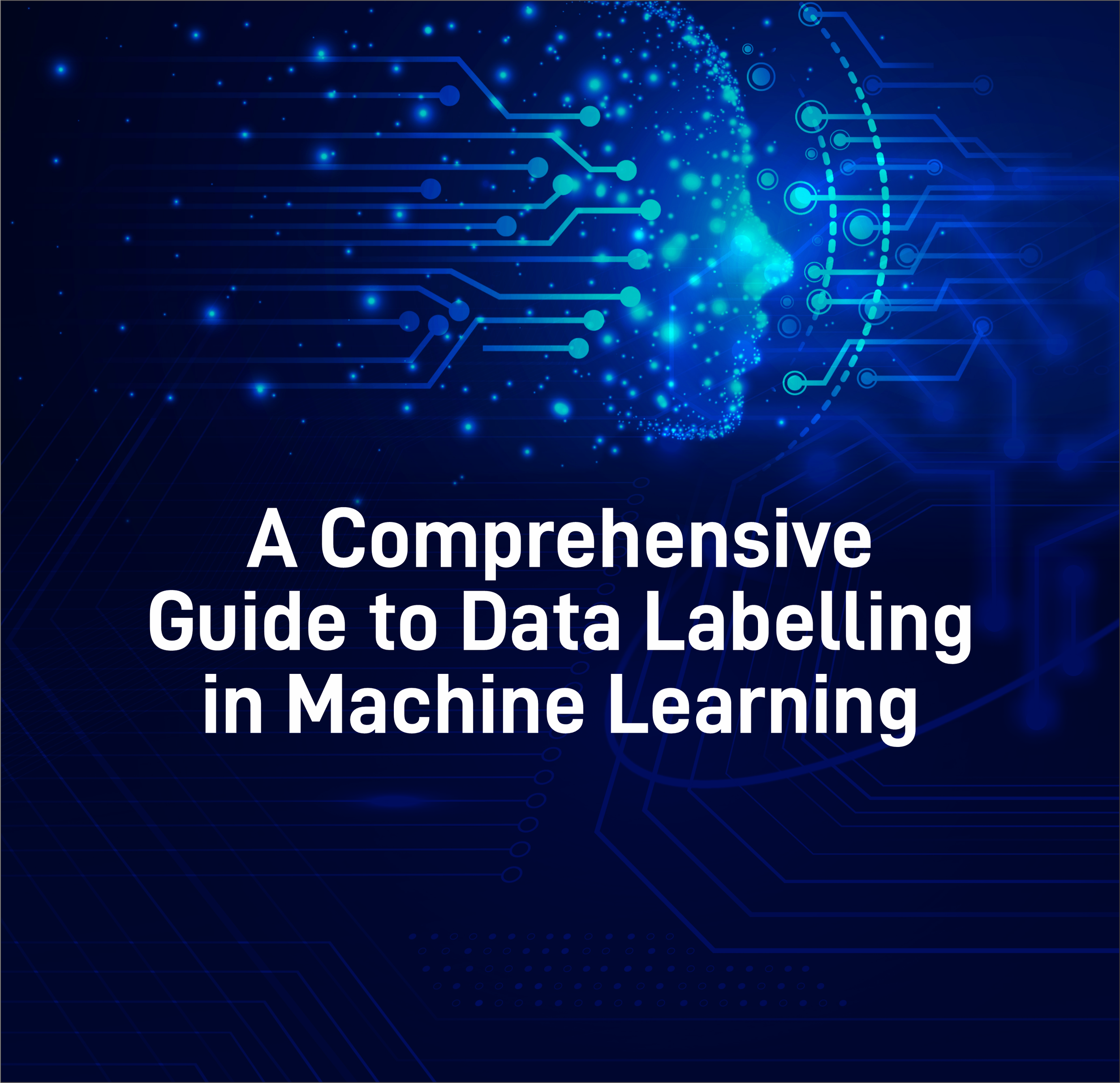 A Comprehensive Guide To Data Labeling In Machine Learning