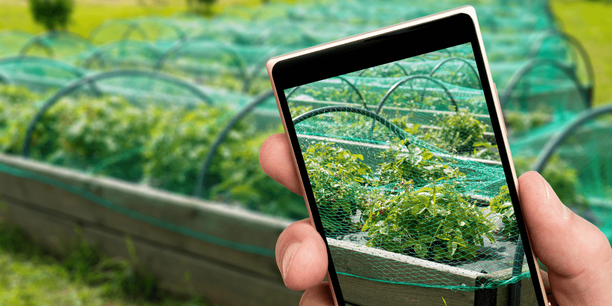 Computer Vision in Agriculture: AI for the Ultimate Transformation in Farming