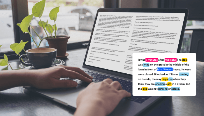 Outsource+Text+Annotation+Services+in+Dubai+with+Akademos+(1)