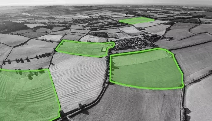 data-annotation-in-agriculture-4